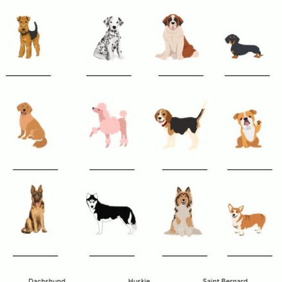 The Most Annoying Pets, Ever! Activity Book - Picture 3 of 6